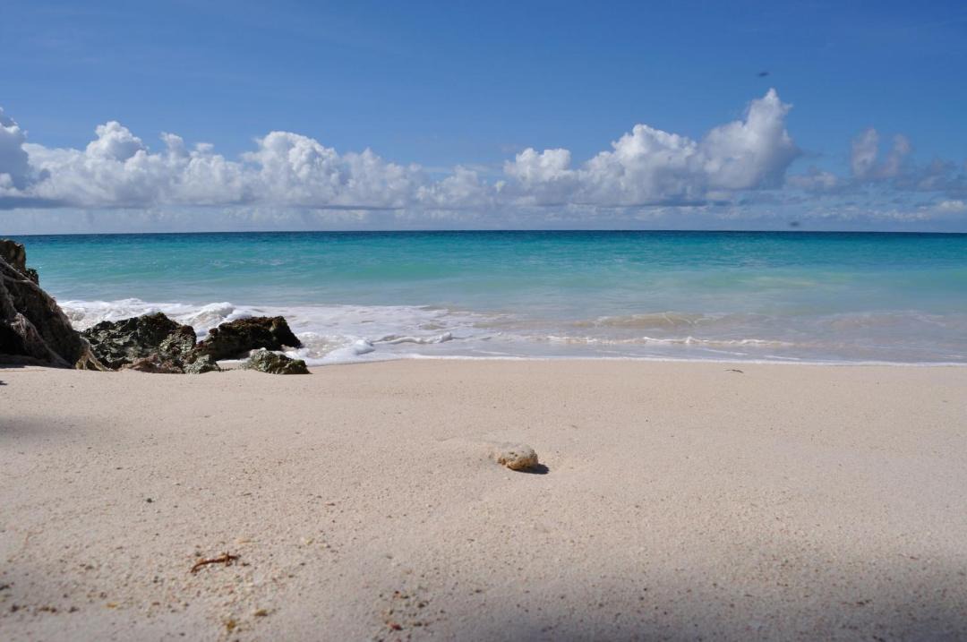 Photo of Others in Silver Sands