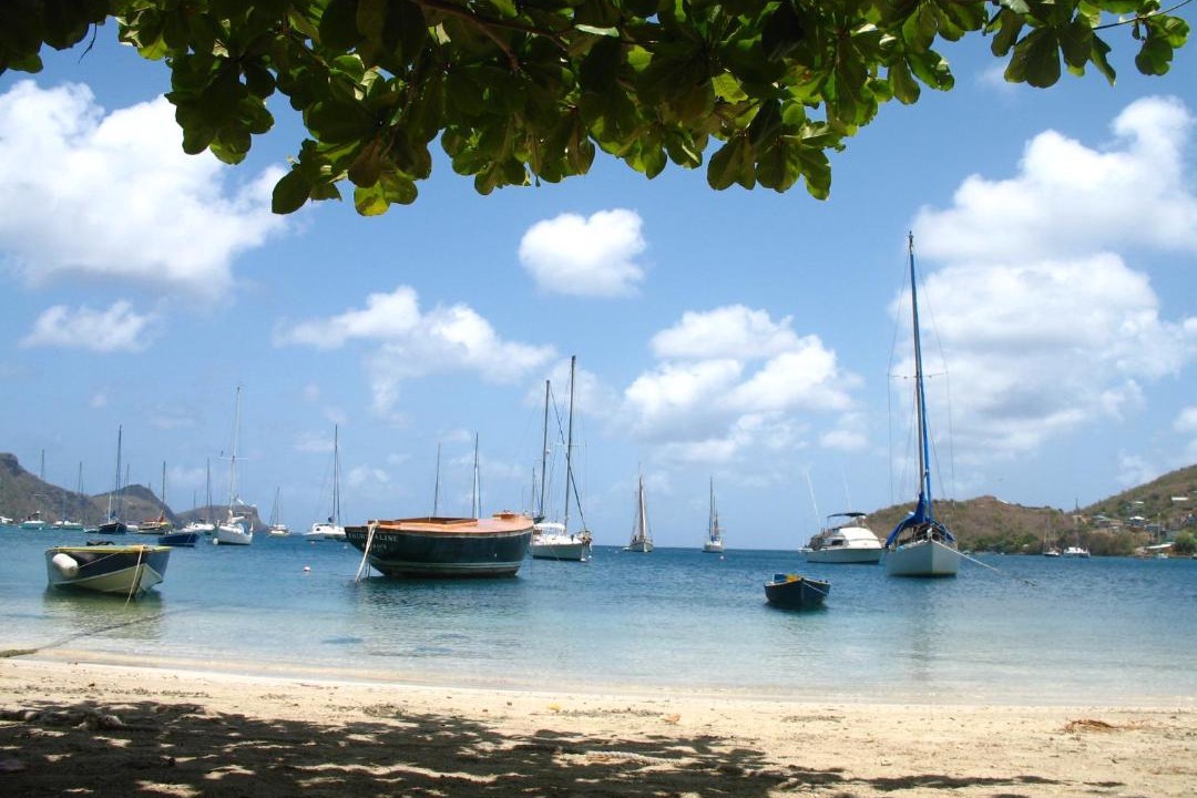 Photo of Others in Old Trees Bay