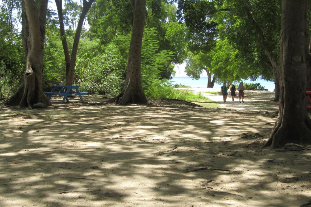 Photo of Others in Prospect