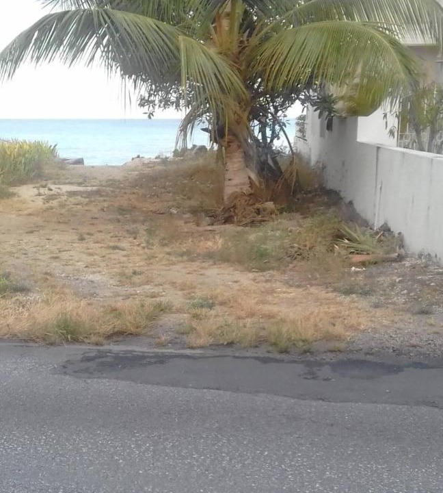 Photo of Others in Fitts Village