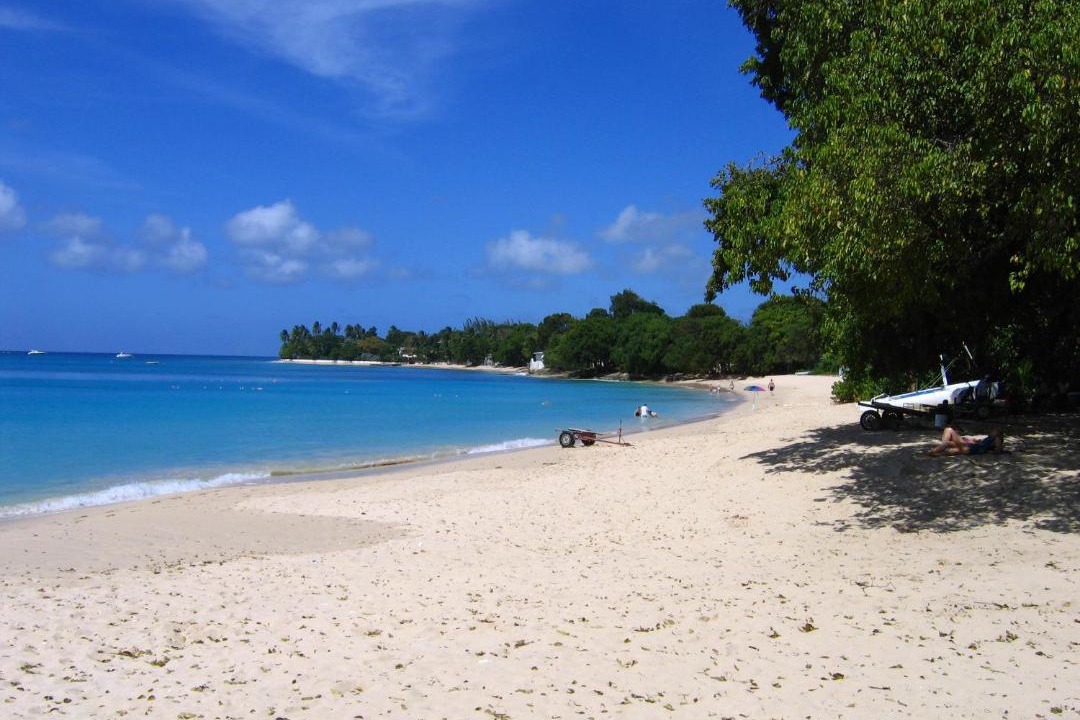 Photo of Others in Old Trees Bay