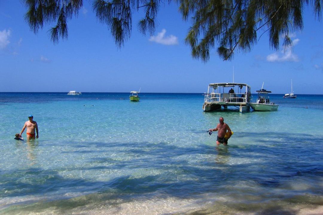 Photo of Others in Old Trees Bay