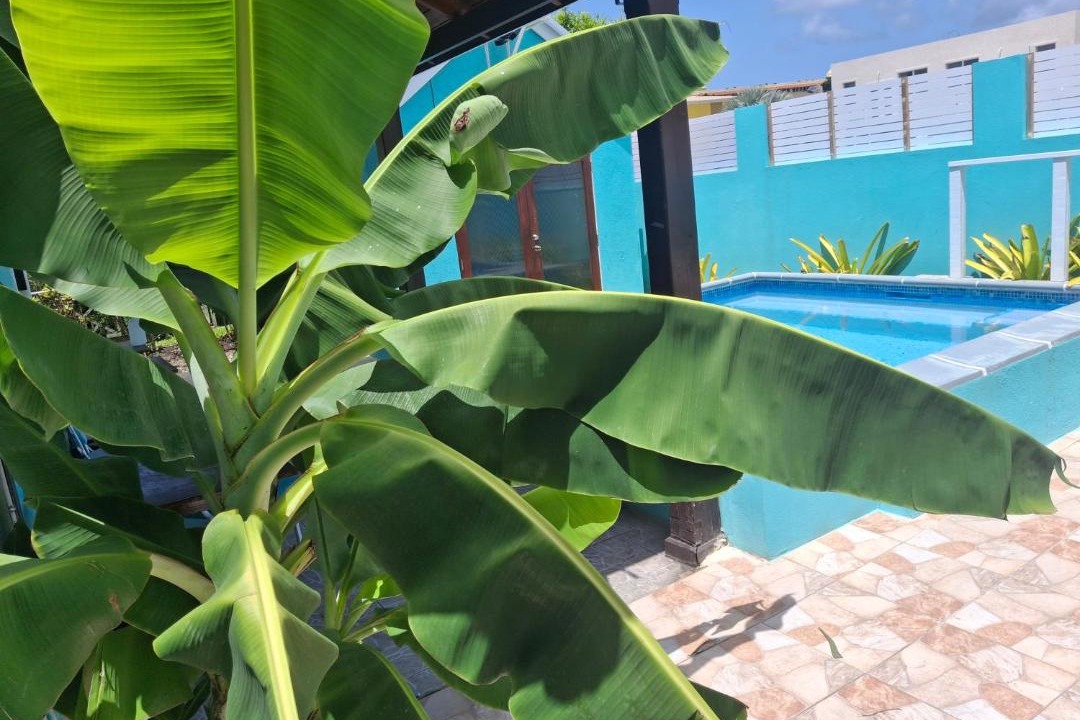 Photo of Patio Balcony in Dover