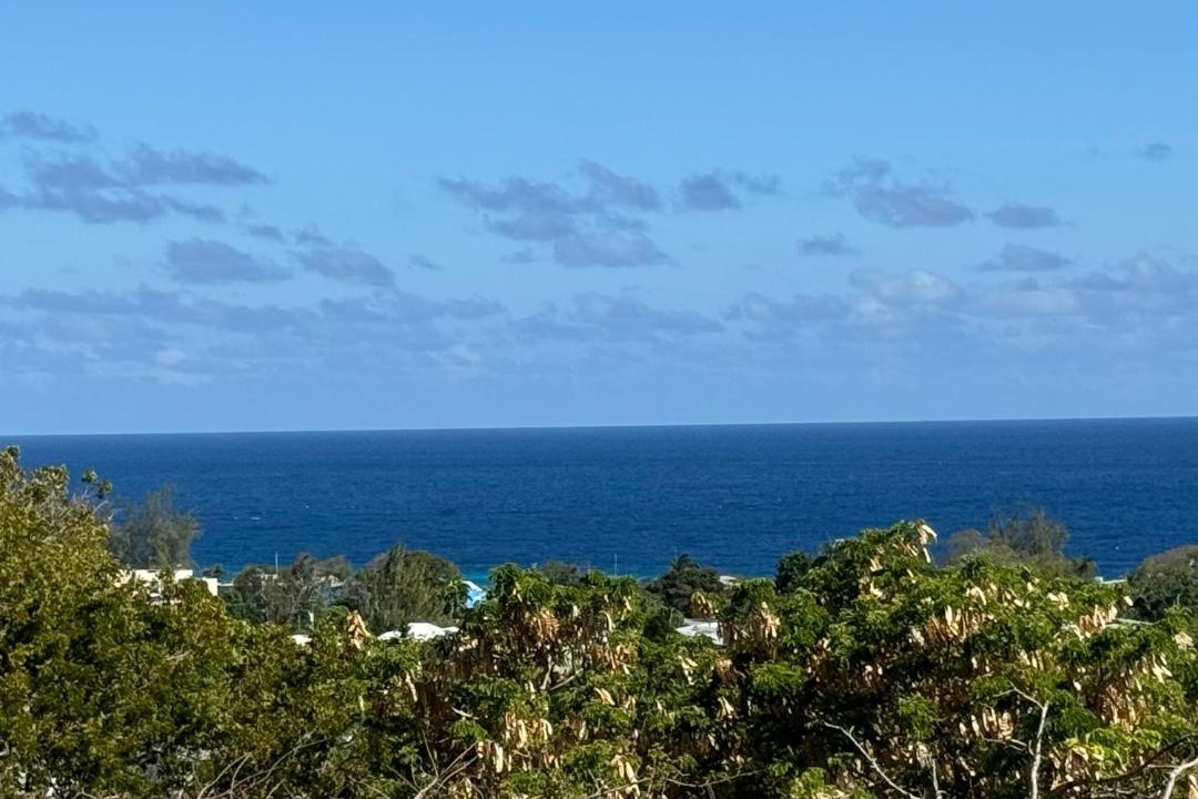 Photo of Others in Bridgetown