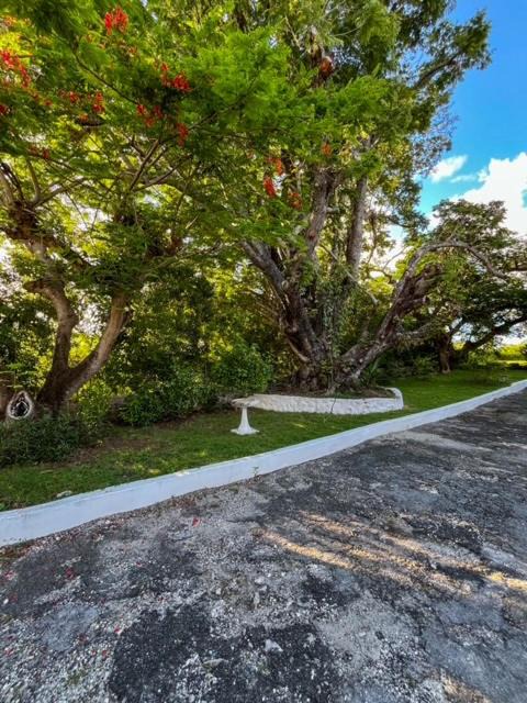 Photo of Others in Rockley