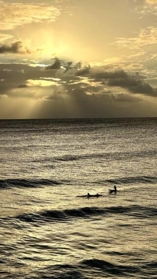 Photo of Others in Atlantic Shores