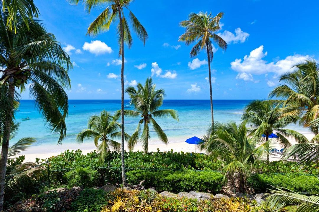 Photo of Others in Schooner Bay