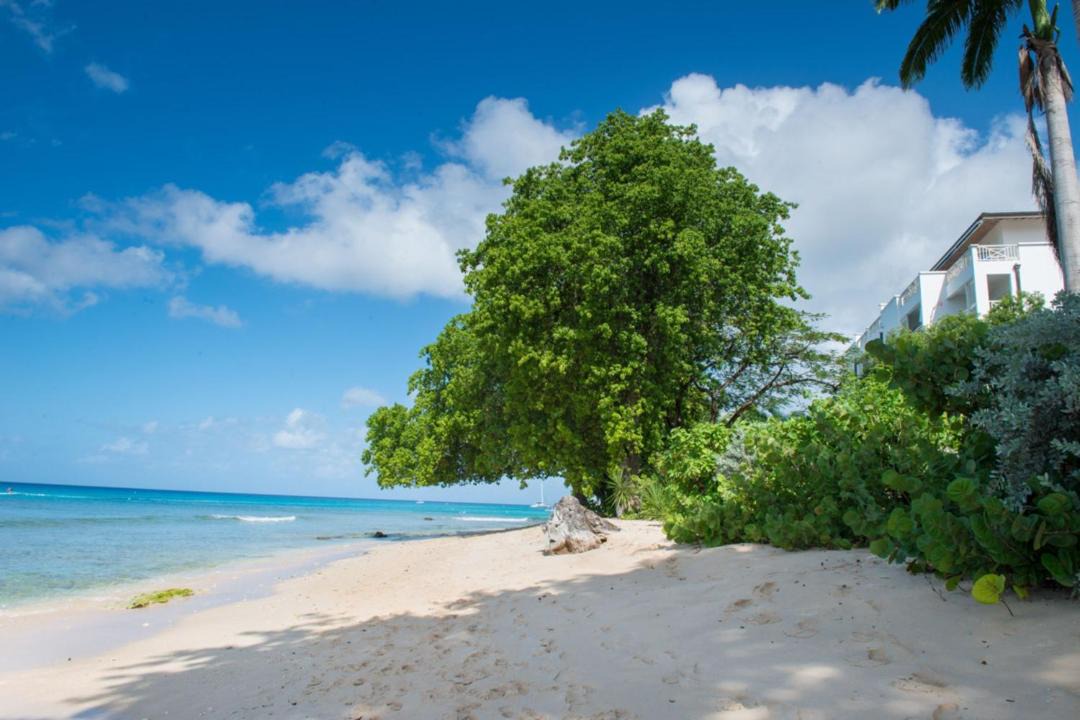 Photo of Others in Old Trees Bay