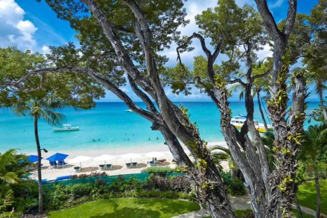 Photo of Others in Old Trees Bay