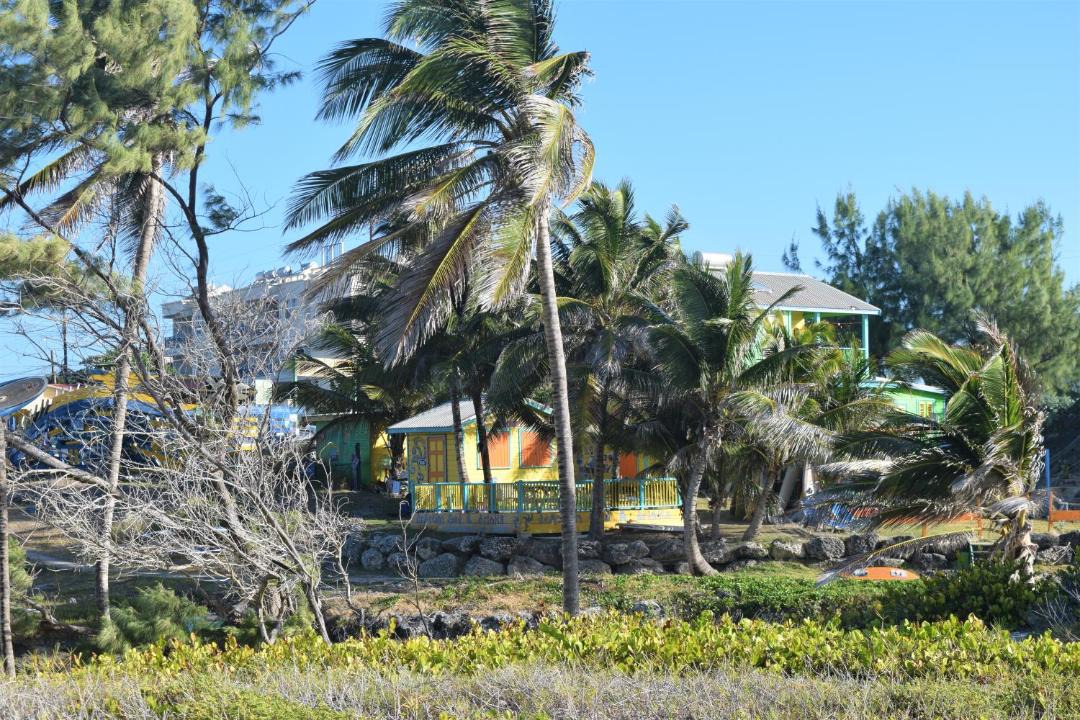 Photo of Others in Silver Sands