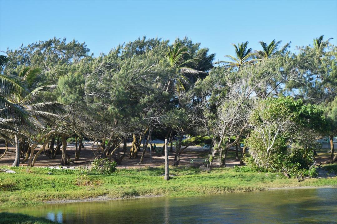 Photo of Others in Silver Sands