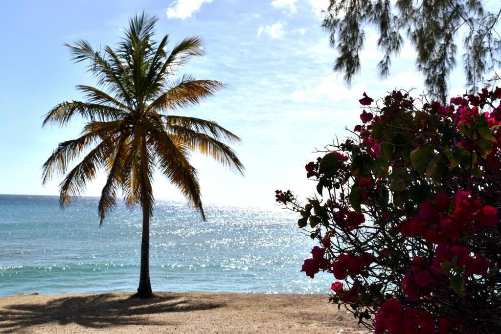 Photo of Outdoor in Atlantic Shores