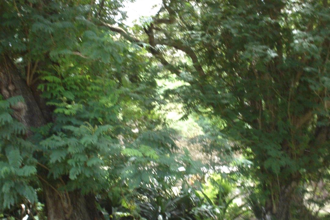 Photo of Others in Blue Waters