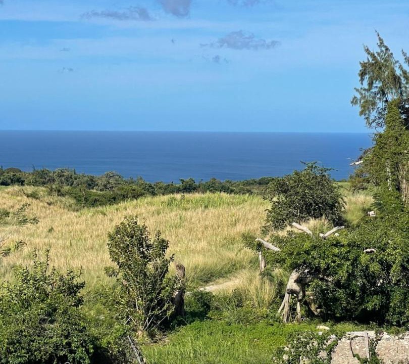 Photo of Outdoor in Gibbs Bay