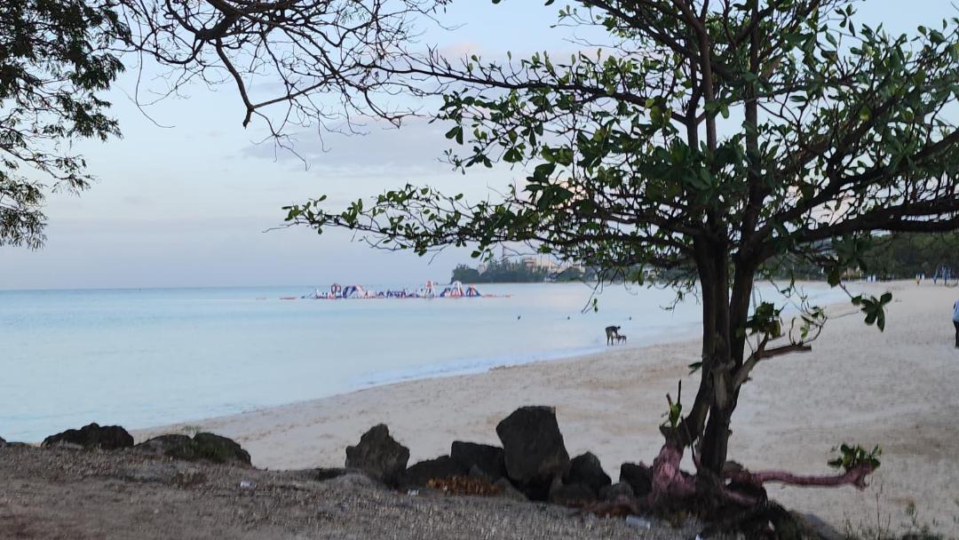 Photo of Outdoor in Bridgetown