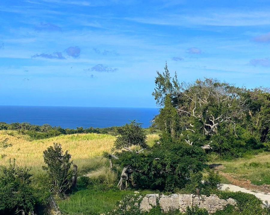 Photo of Outdoor in Gibbs Bay