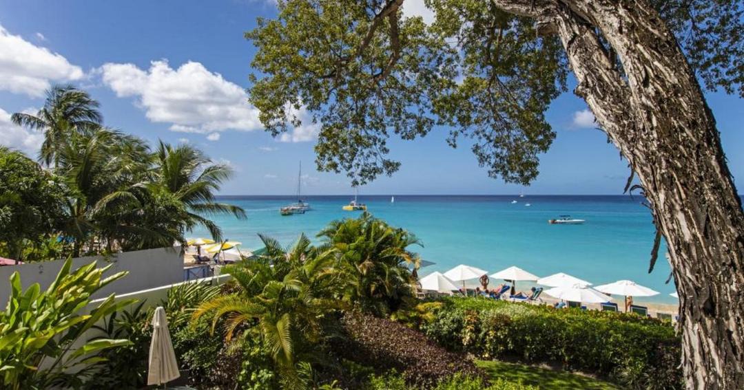Photo of Outdoor in Old Trees Bay