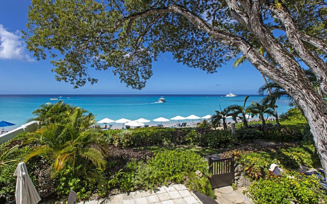 Photo of Others in Old Trees Bay