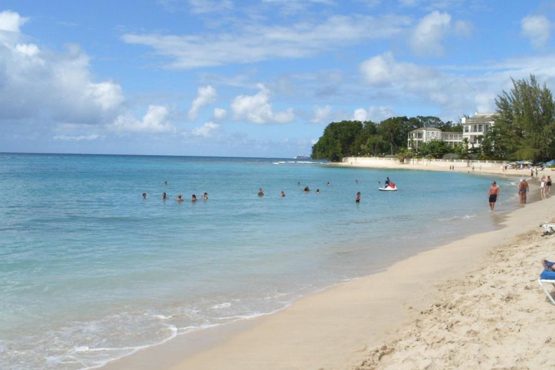 Photo of Others in Old Trees Bay