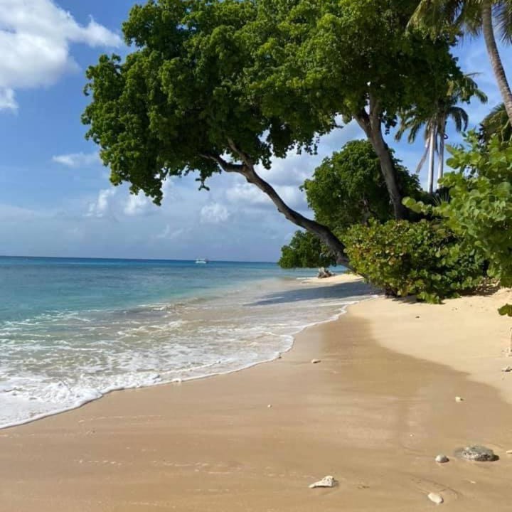Photo of Others in Holetown