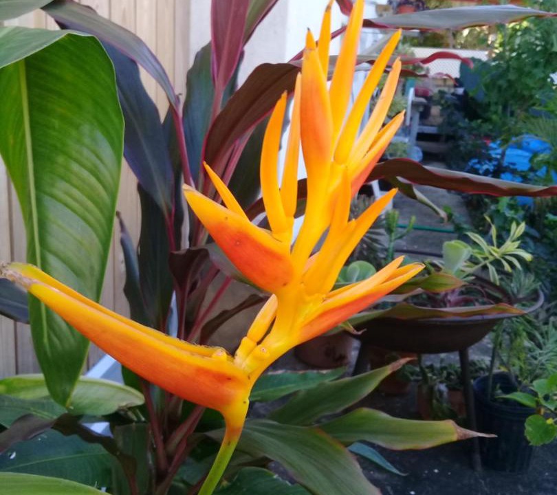 Photo of Others in Atlantic Shores