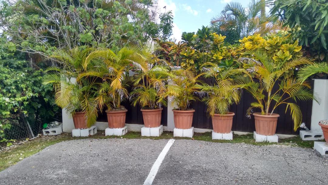 Photo of Others in Old Trees Bay