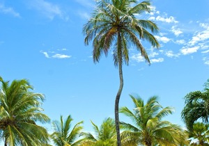 Barbados Beach Club Resort - All Inclusive