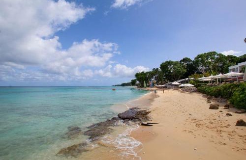 Old Trees Bay Apartment | Stunning 2-bed Beachfront Condo on Paynes Bay