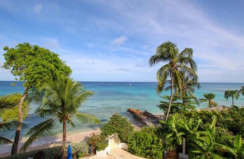 Old Trees Bay Apartment | Stunning Beachfront Condo on Paynes Bay