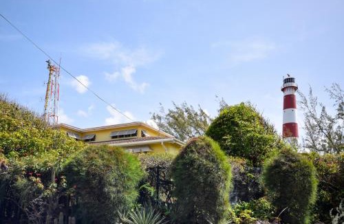 Green Garden Apartment | Oceanfront 2-bed Apt with Pool near Surfing - Rosalie 2