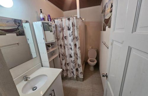 Durants Bed & Breakfast | A Room w Private Bathroom in St James
