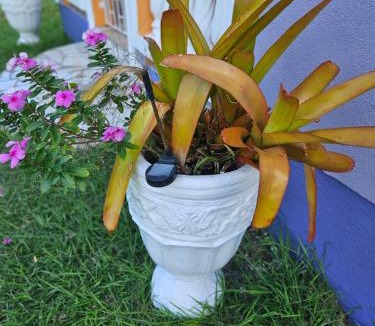 Charnocks House | Sunrise Haven Holiday Apartments Barbados