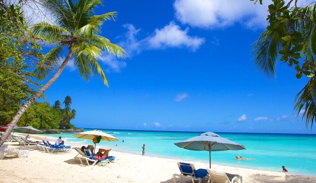 Three Units Just Steps Away from Worthing Beach! w/ Free Parking & Pool! in Bridgetown