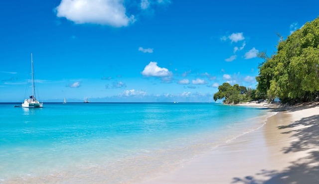 Stunning Private Tropical Retreat with Resort Pool - Claridges 1 in Gibbes