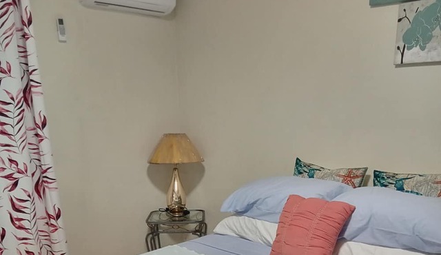 Cozy one-bedroom apartment with wifi and a/c. 5 minutes to malls and grocery.