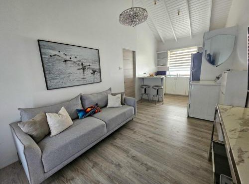 Private 1BR Apartment Near Airport