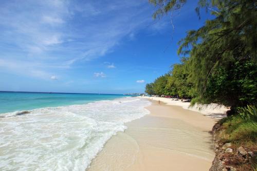 Oceanfront 2-bed Apt with Pool near Surfing - Rosalie 2