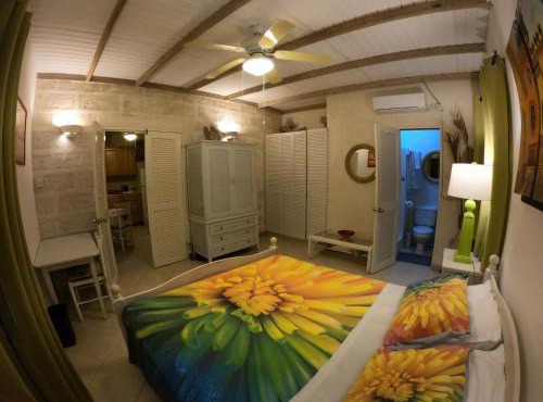 Yellow Bird Apartment in Christ Church